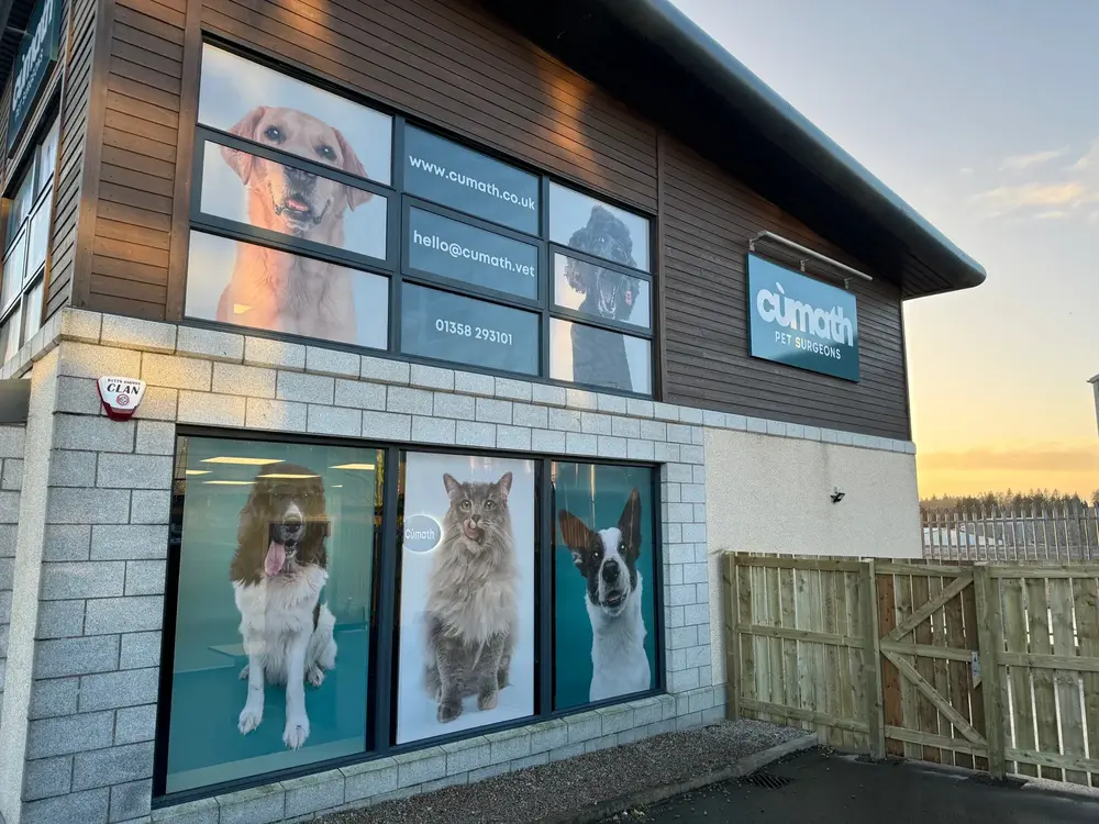 Window Graphics — completed Rood Signs project