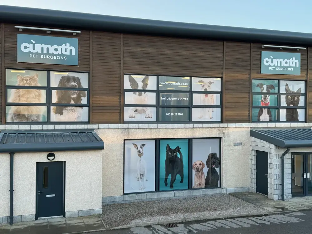 Window Graphics — completed Rood Signs project