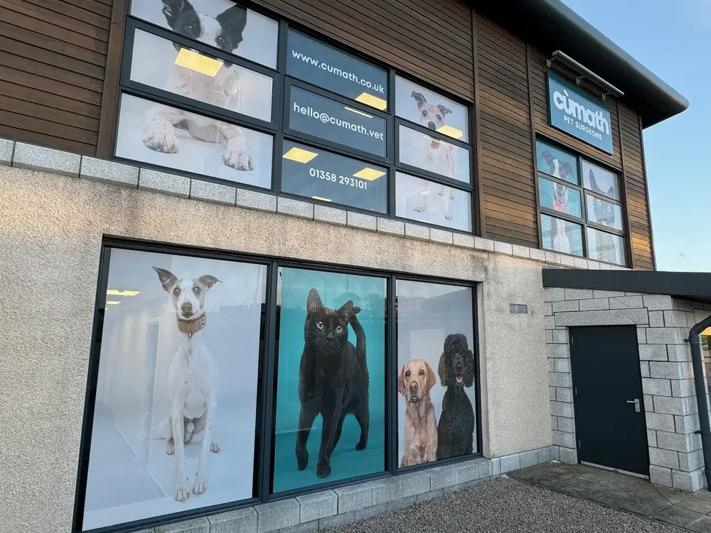 Window Graphics — completed Rood Signs project
